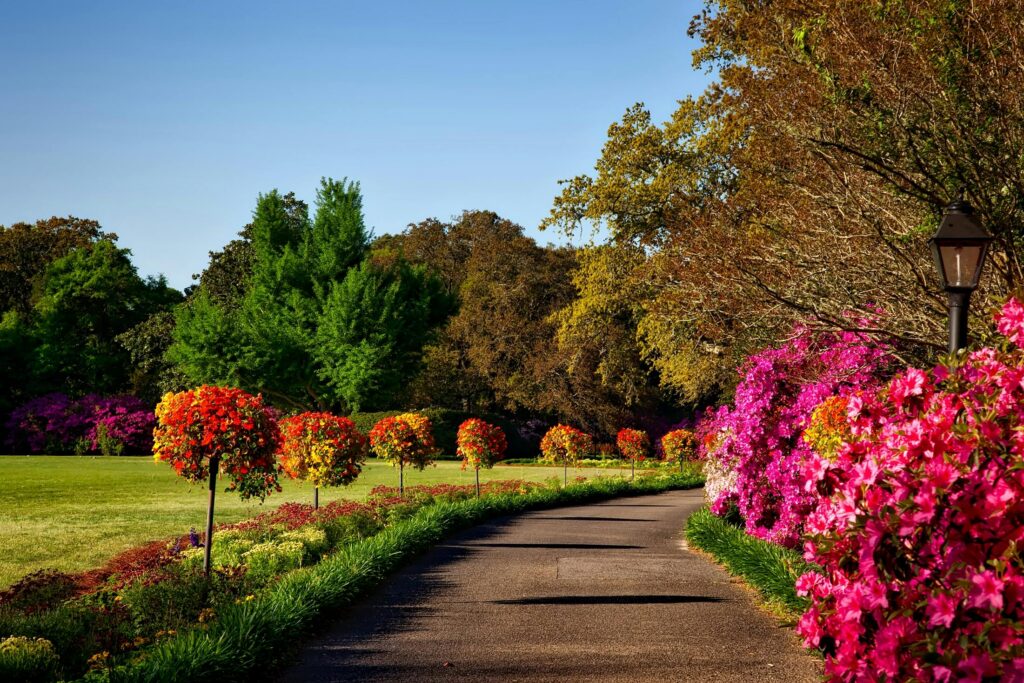 Low-Maintenance Garden Cleaning for Limpopo Homeowners: Indigenous Plants That Stay Tidy Naturally