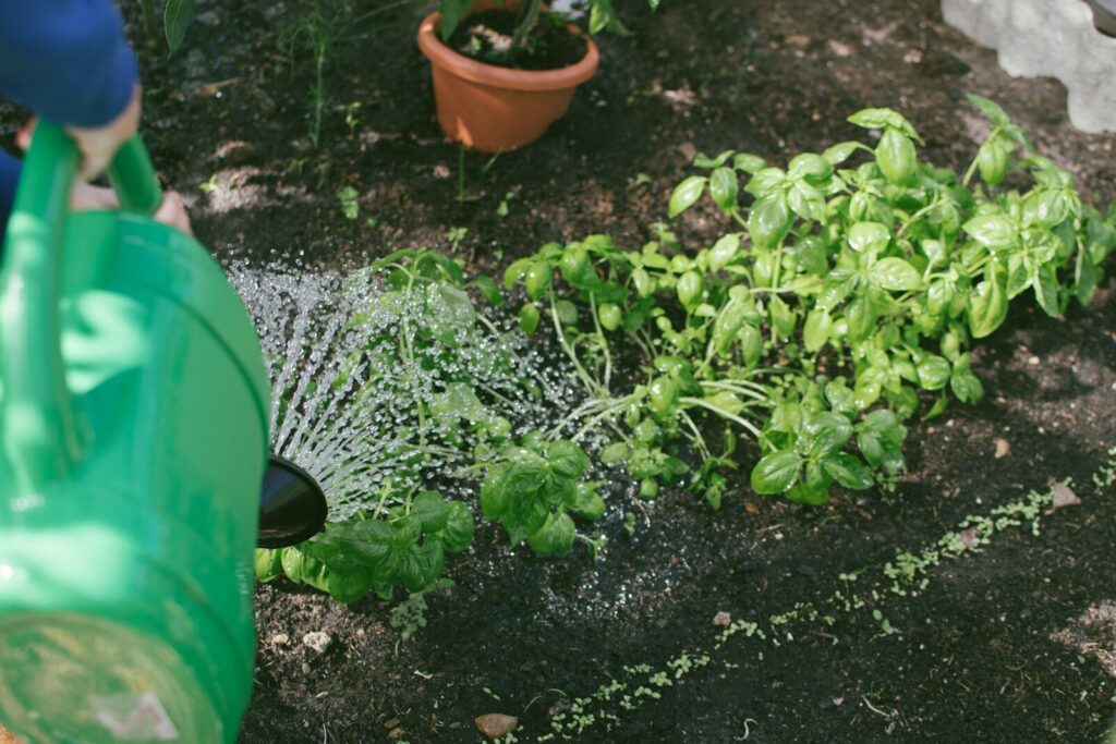 10 Low-Maintenance Garden Cleaning Hacks Every South African Homeowner Should Know