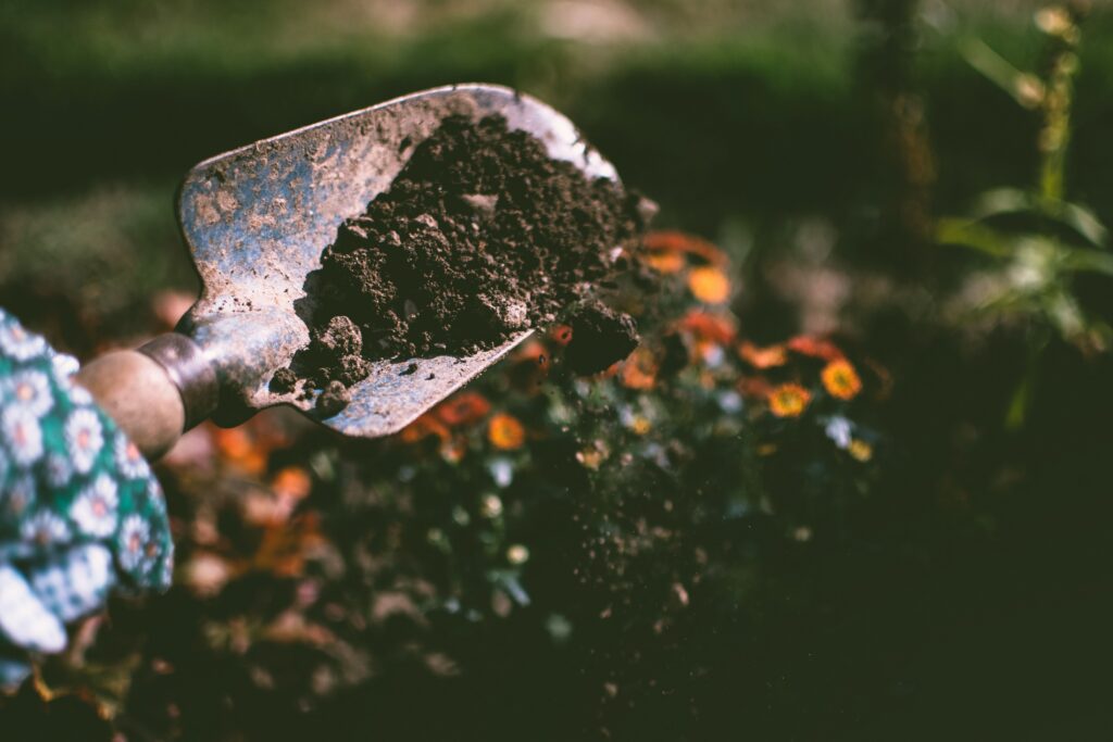 Free State Garden Tidiness Checklist: Monthly Tasks to Prevent Pests and Keep Lawns Healthy